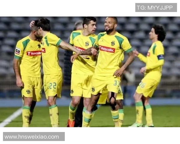 费雷拉与法马利卡奥的精彩对决分析与赛季展望